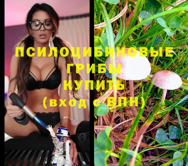 МДМА Белокуриха