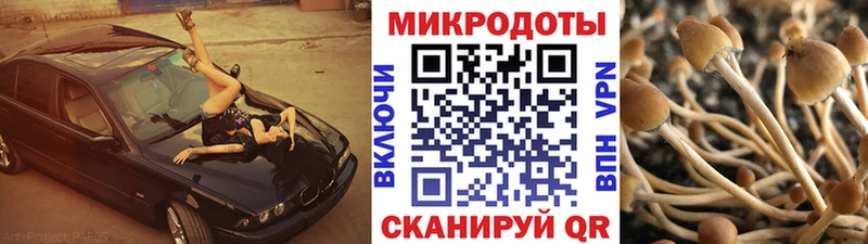 darknet состав  Демидов  Псилоцибиновые грибы мухоморы 
